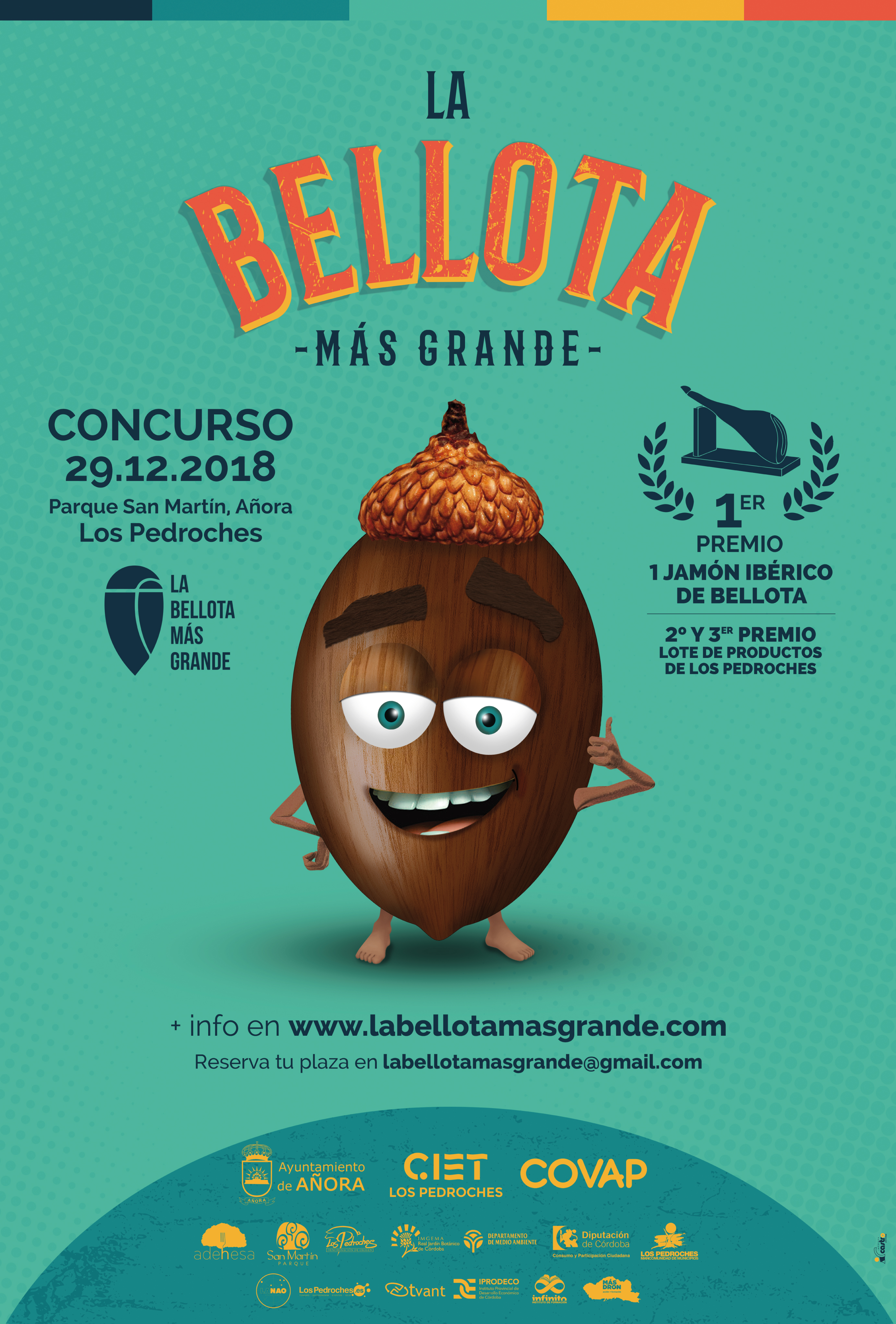Concurso La Bellota más Grande - Los Pedroches